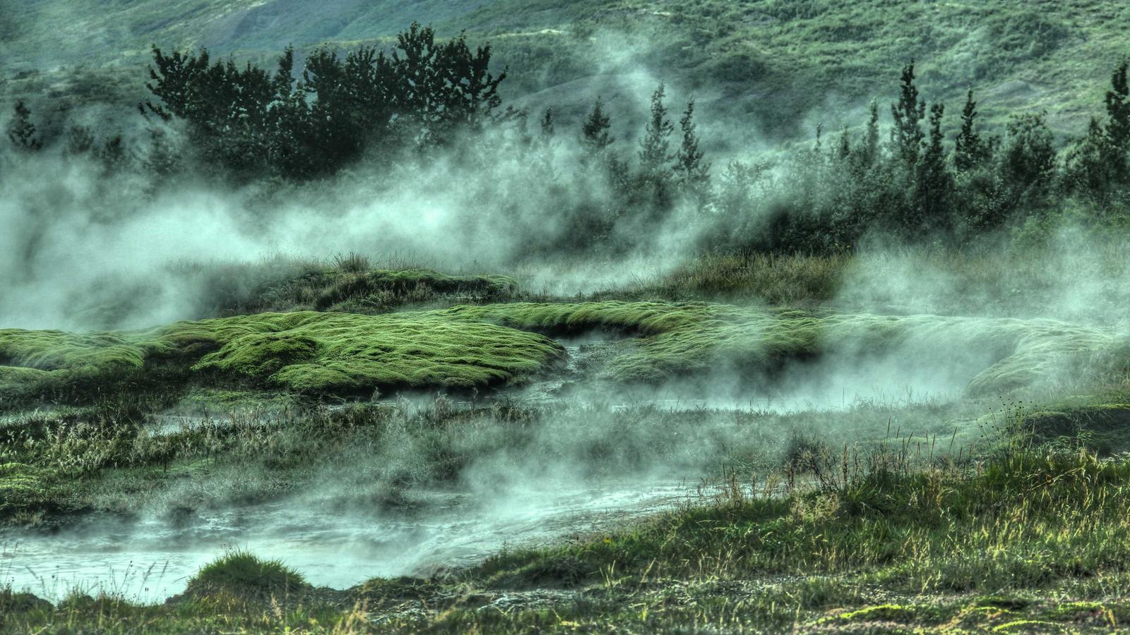 Imagen del artículo sobre alternativas a HomeGauge