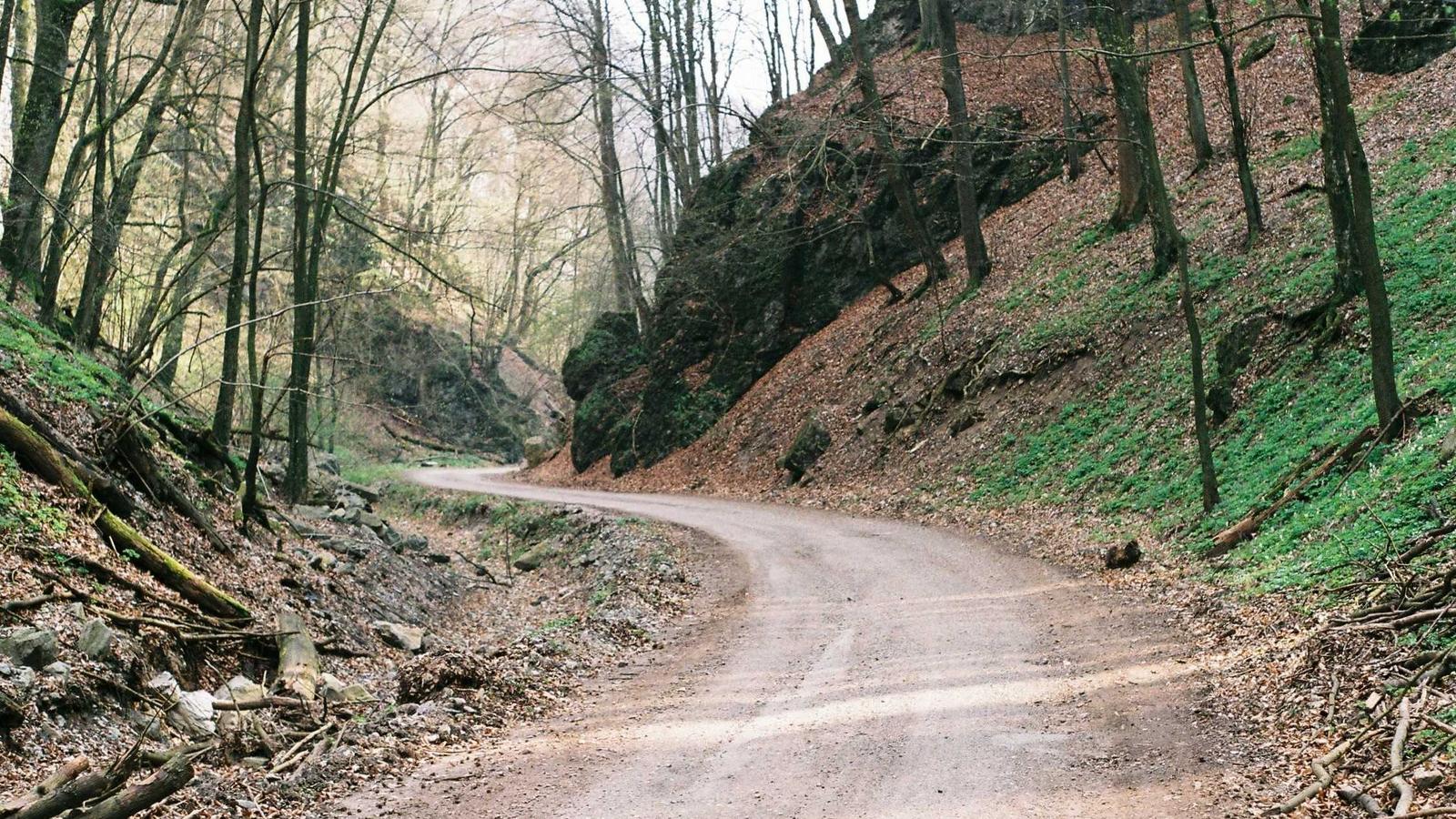 Imagen del artículo sobre alternativas a Spectora