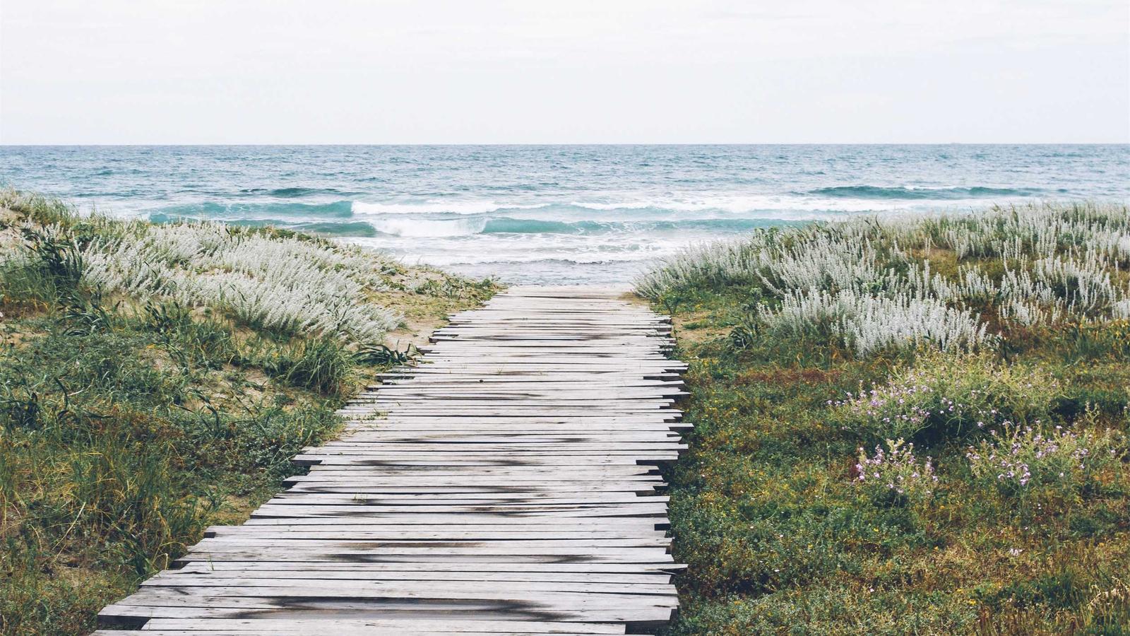 Imagen del artículo sobre aplicación móvil para inspectores de vivienda