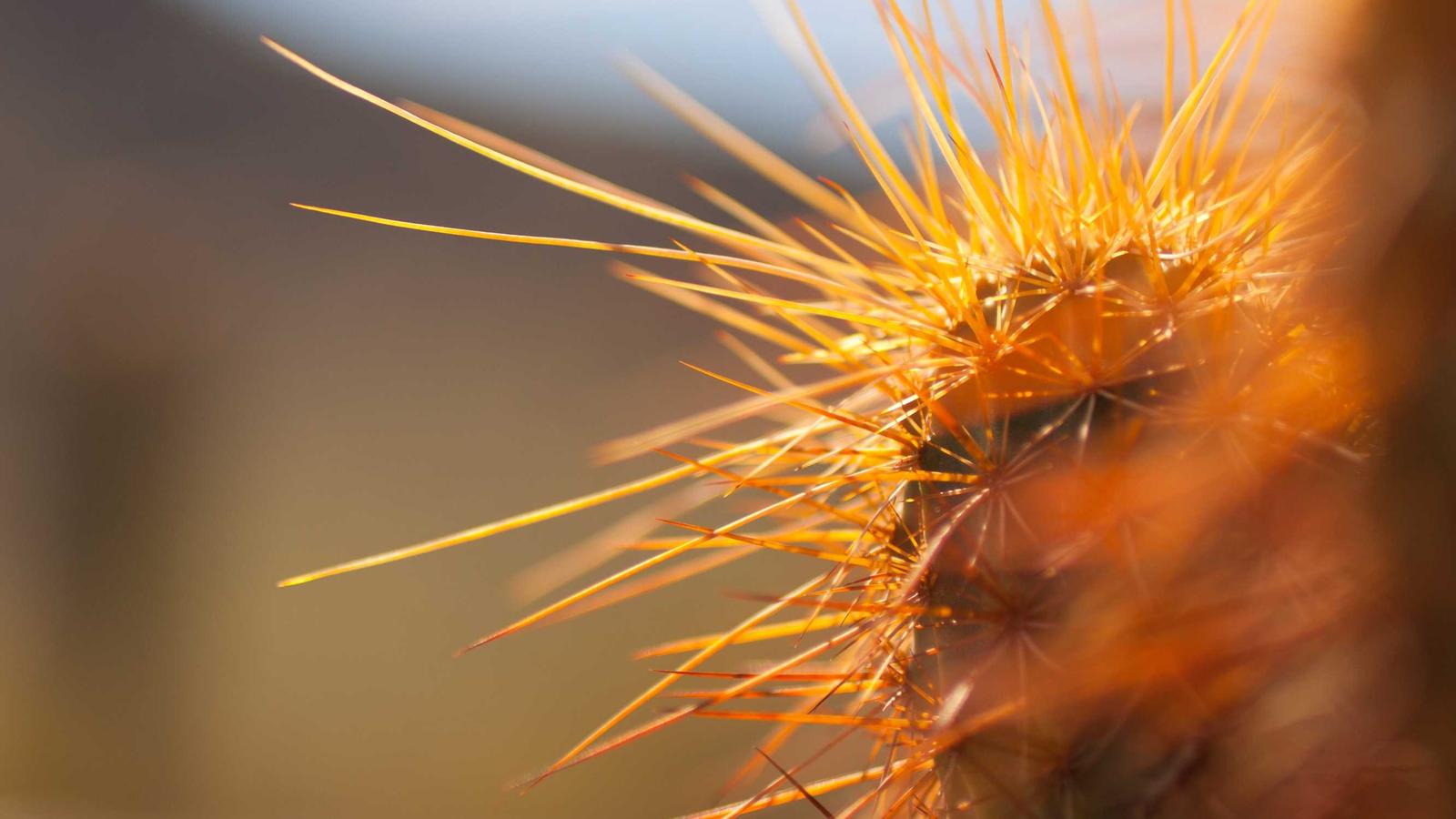 Imagen del artículo sobre checklist de condición de la propiedad