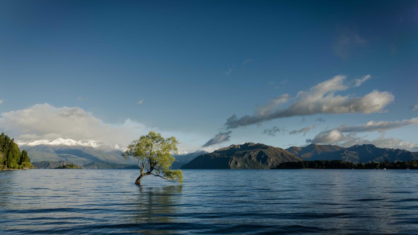 Imagen del artículo sobre checklist de recorrido final vs inspección