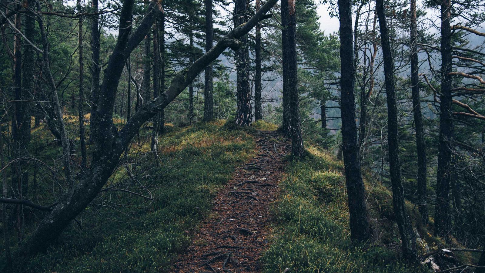 Imagen del artículo sobre cómo redactar un informe de inspección de vivienda