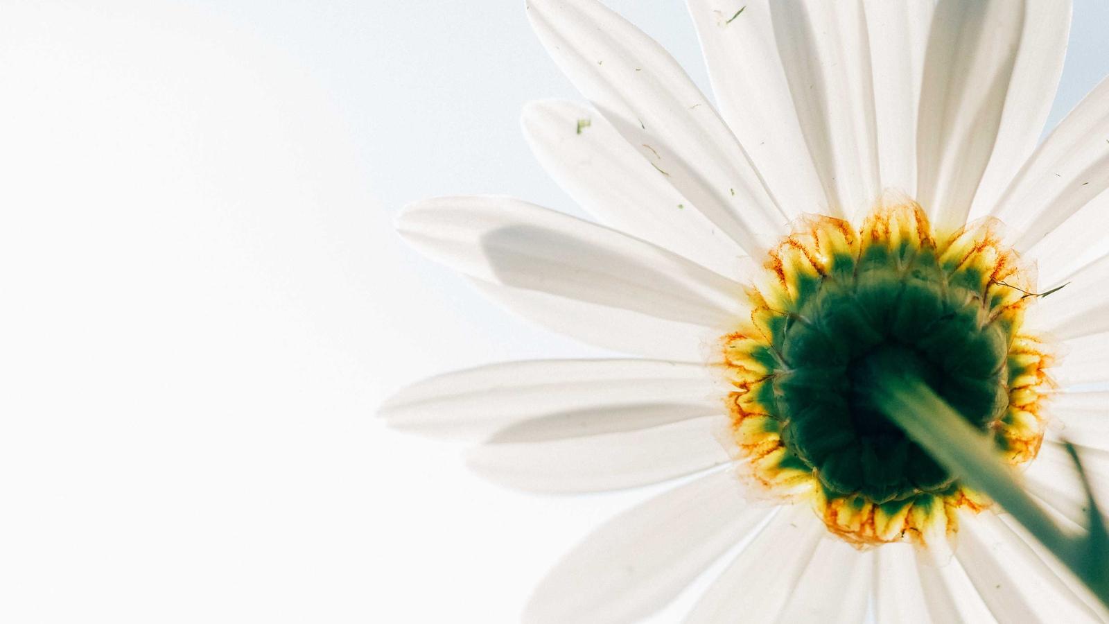 Imagen del artículo sobre costo de la inspección de obra nueva