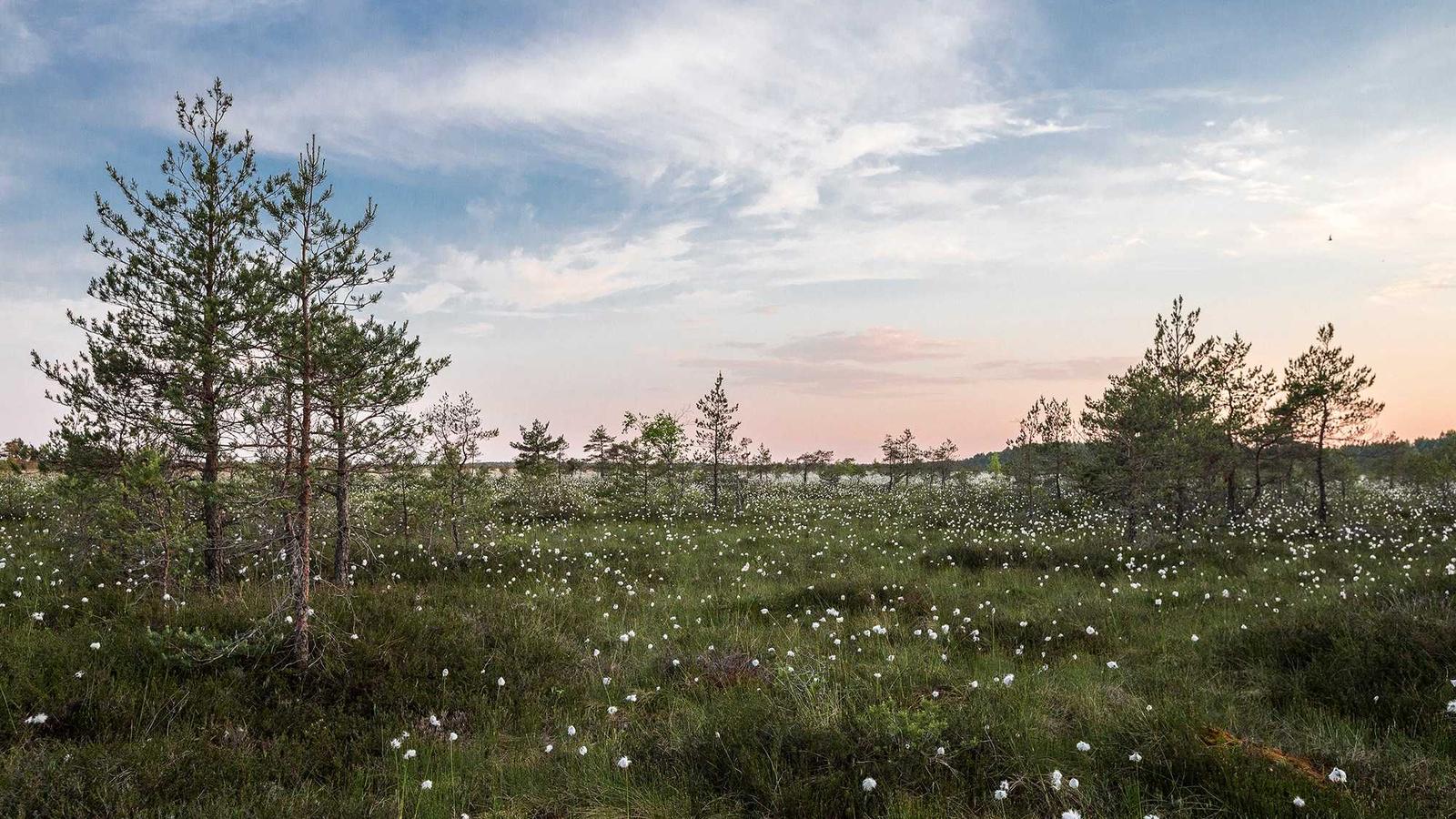 Imagen del artículo sobre empresa de inspección de vivienda