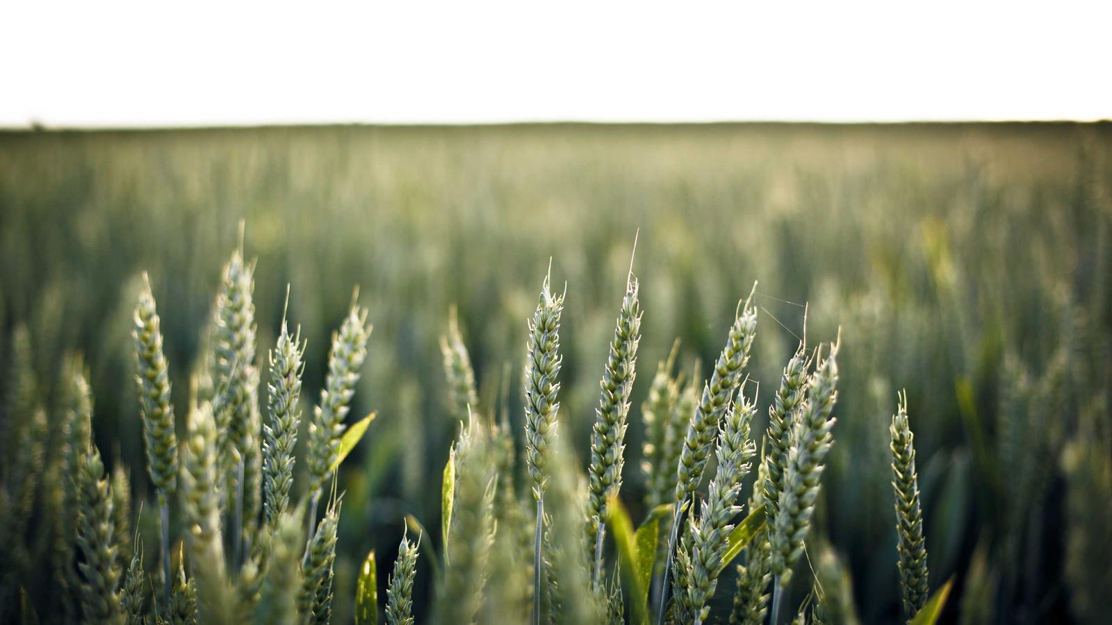 Imagen del artículo sobre informe de inspección de entrada al inmueble