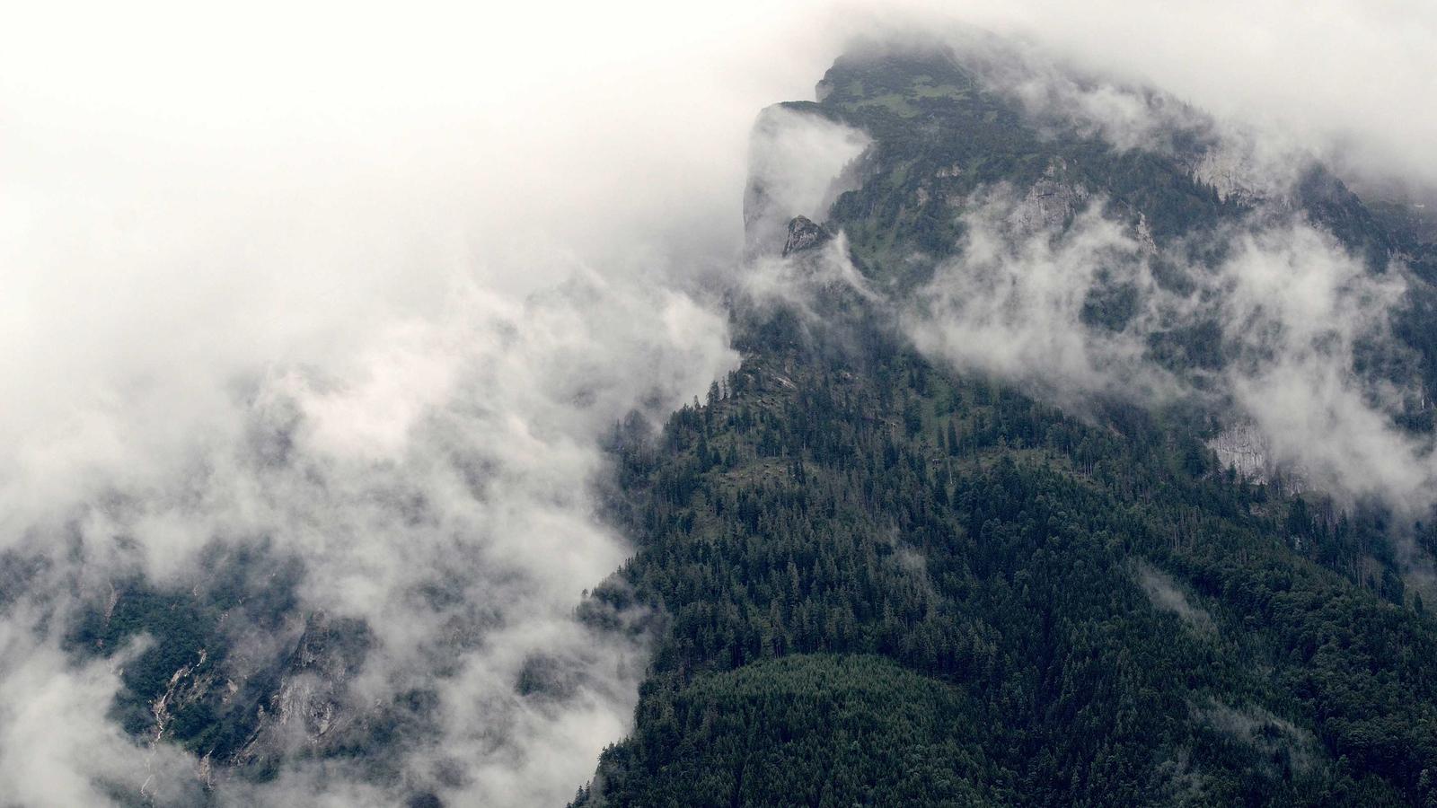 Imagen del artículo sobre informe de inspección de filtración en el techo