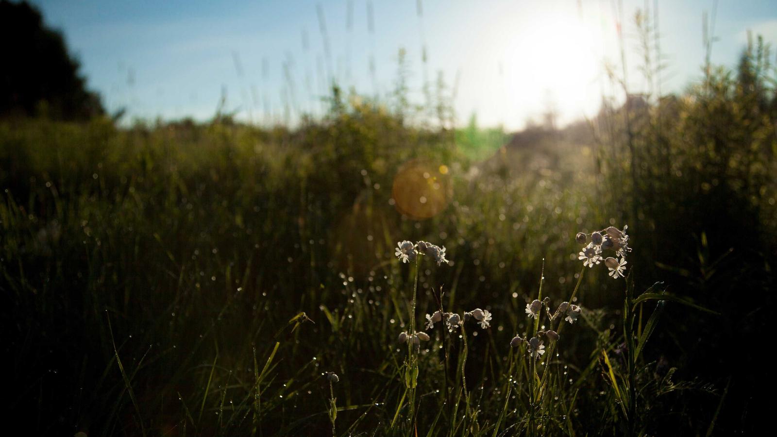 Imagen del artículo sobre informe de inspección de salida del inmueble