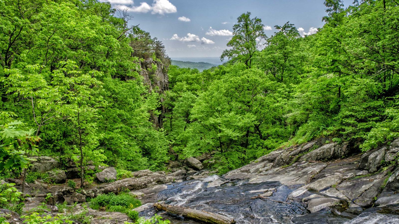 Imagen del artículo sobre marketing para inspección de vivienda