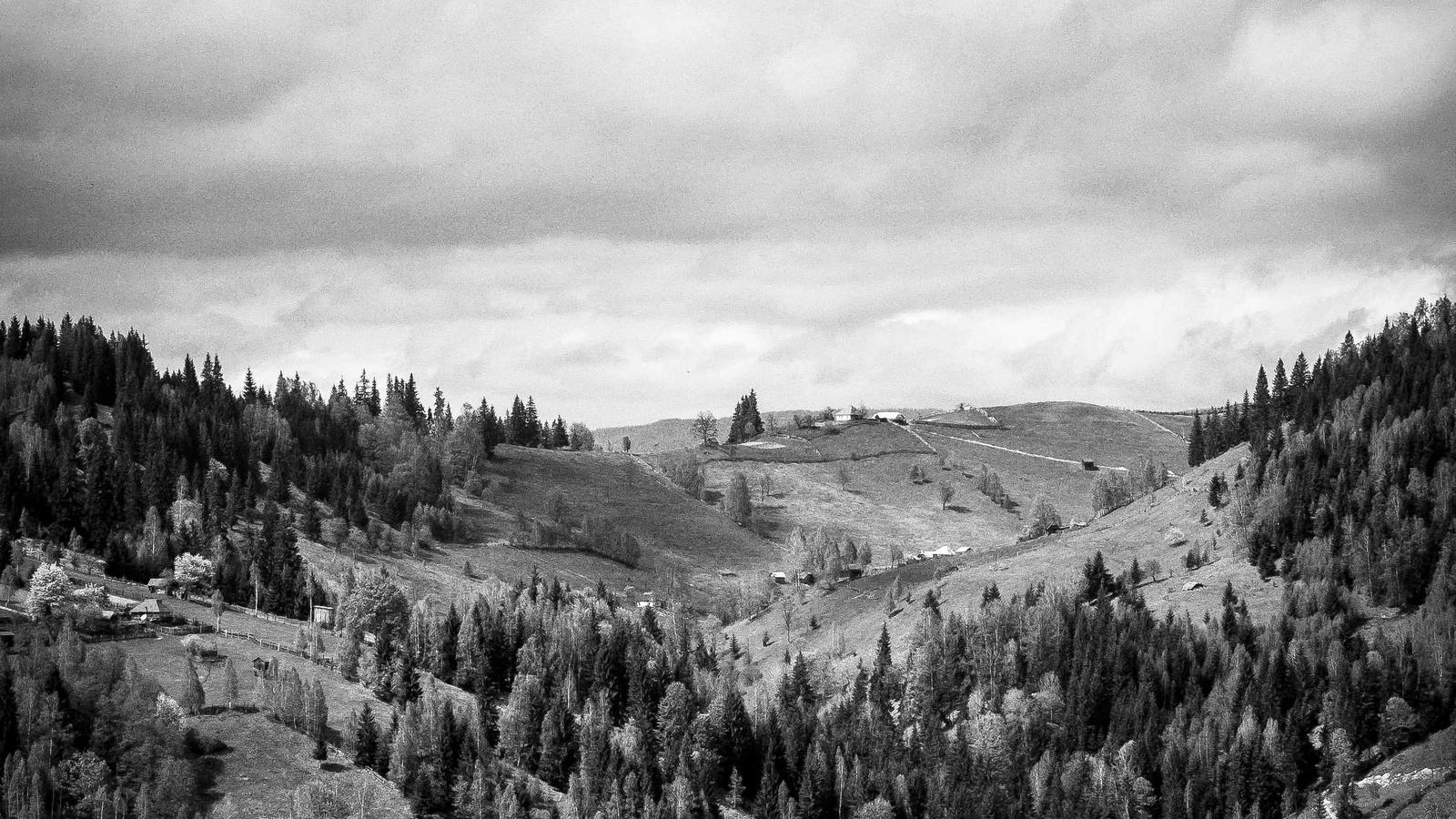 Imagen del artículo sobre plantilla de contrato de inspección de vivienda