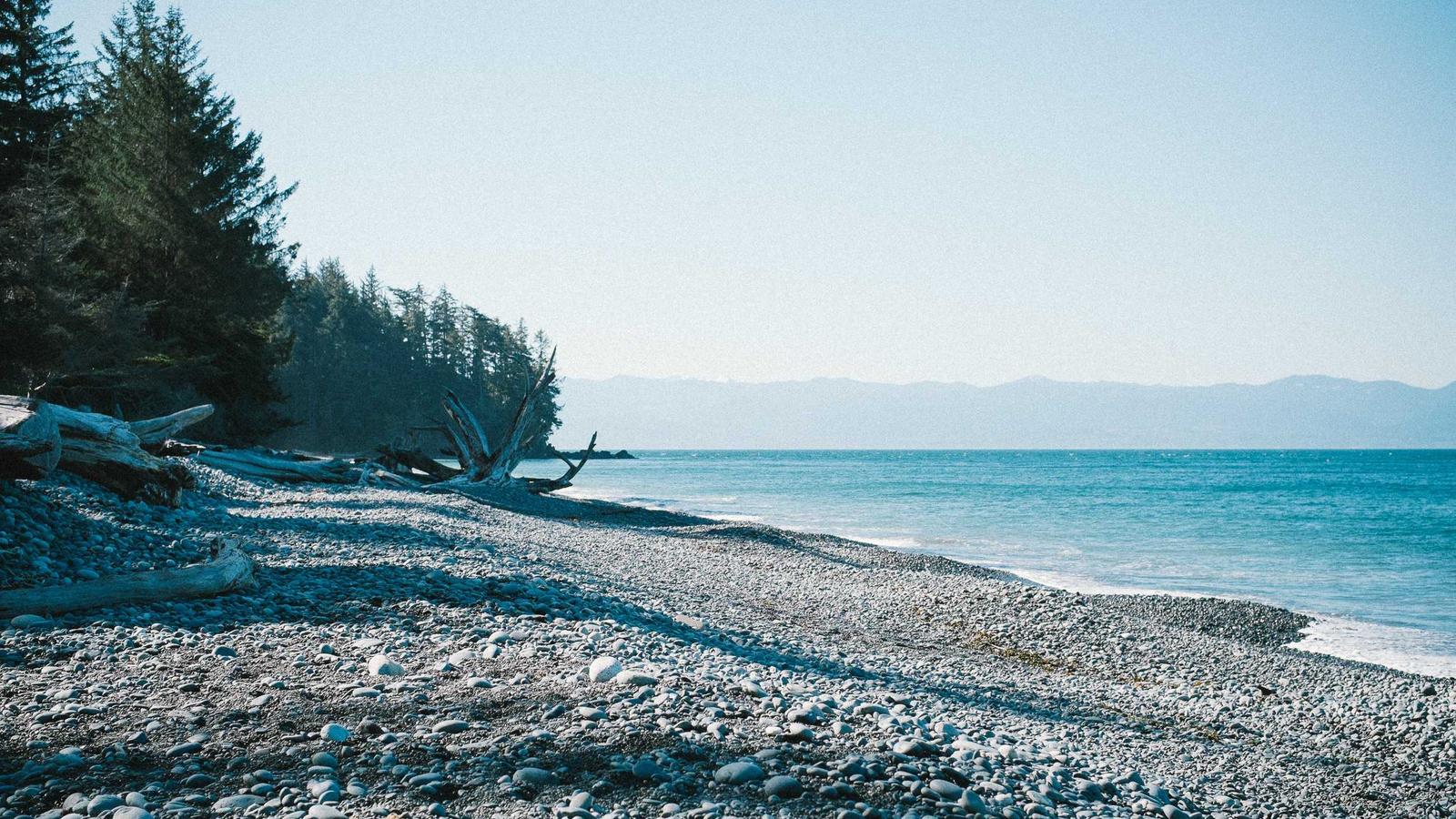 Imagen del artículo sobre servicios de inspección de vivienda