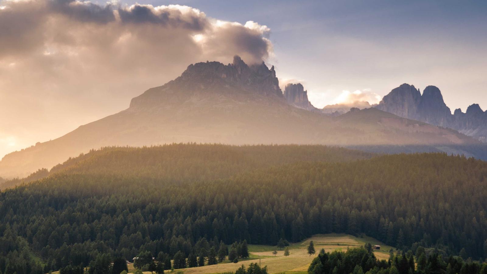 Imagen del artículo sobre software de informes de inspección de vivienda