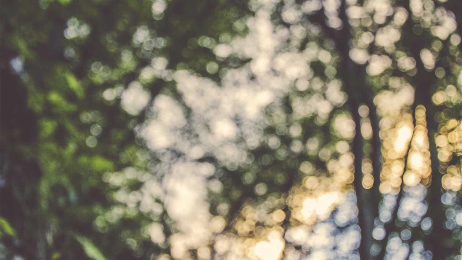 Imagem do artigo sobre calculadora de custo da vistoria residencial