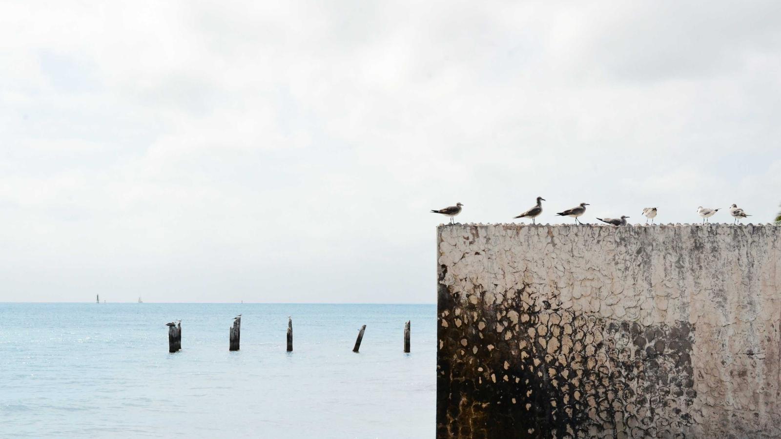 Imagem do artigo sobre checklist de inspeção de mofo