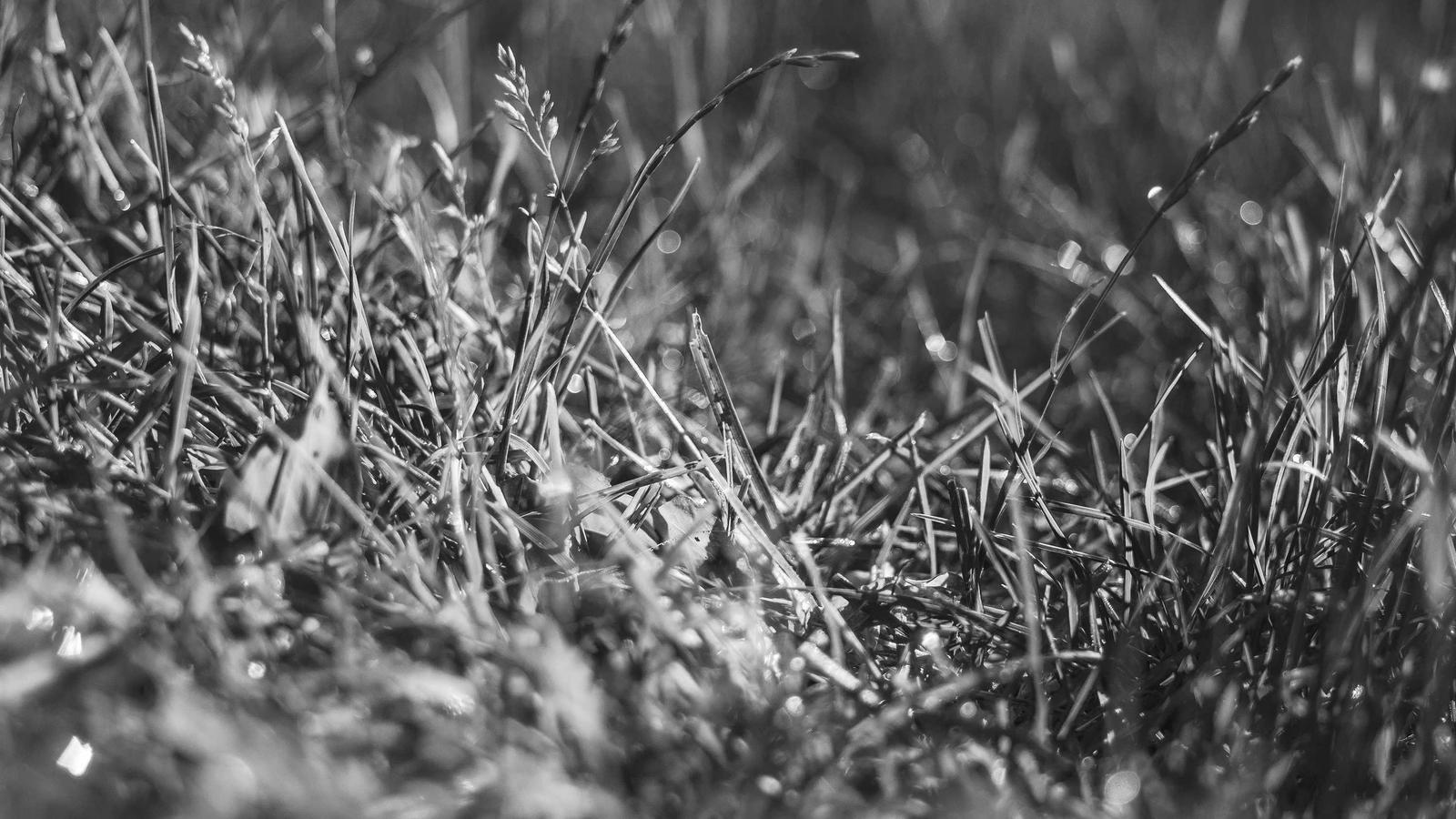 Imagem do artigo sobre checklist de vistoria residencial para imóvel novo