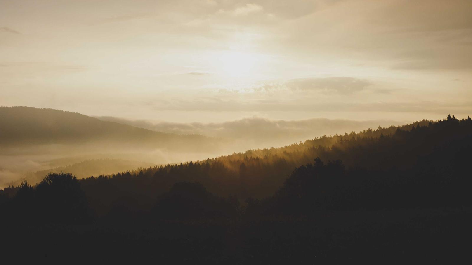 Imagem do artigo sobre checklist de vistoria residencial pré-compra