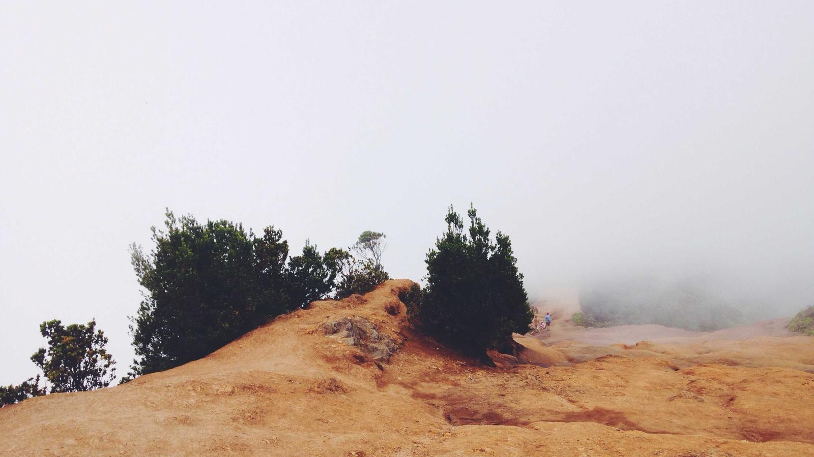 Imagem do artigo sobre custo médio da vistoria residencial