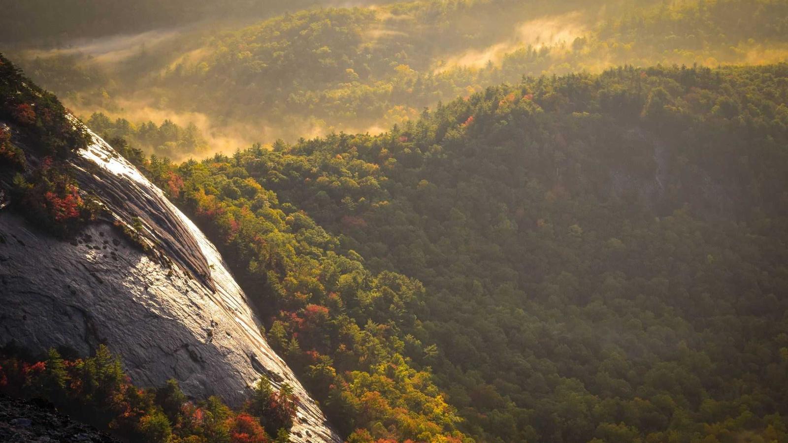 Imagem do artigo sobre gestão de fotos na vistoria residencial
