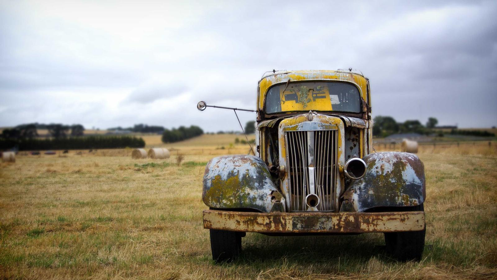 Imagem do artigo sobre relatório de inspeção de mofo