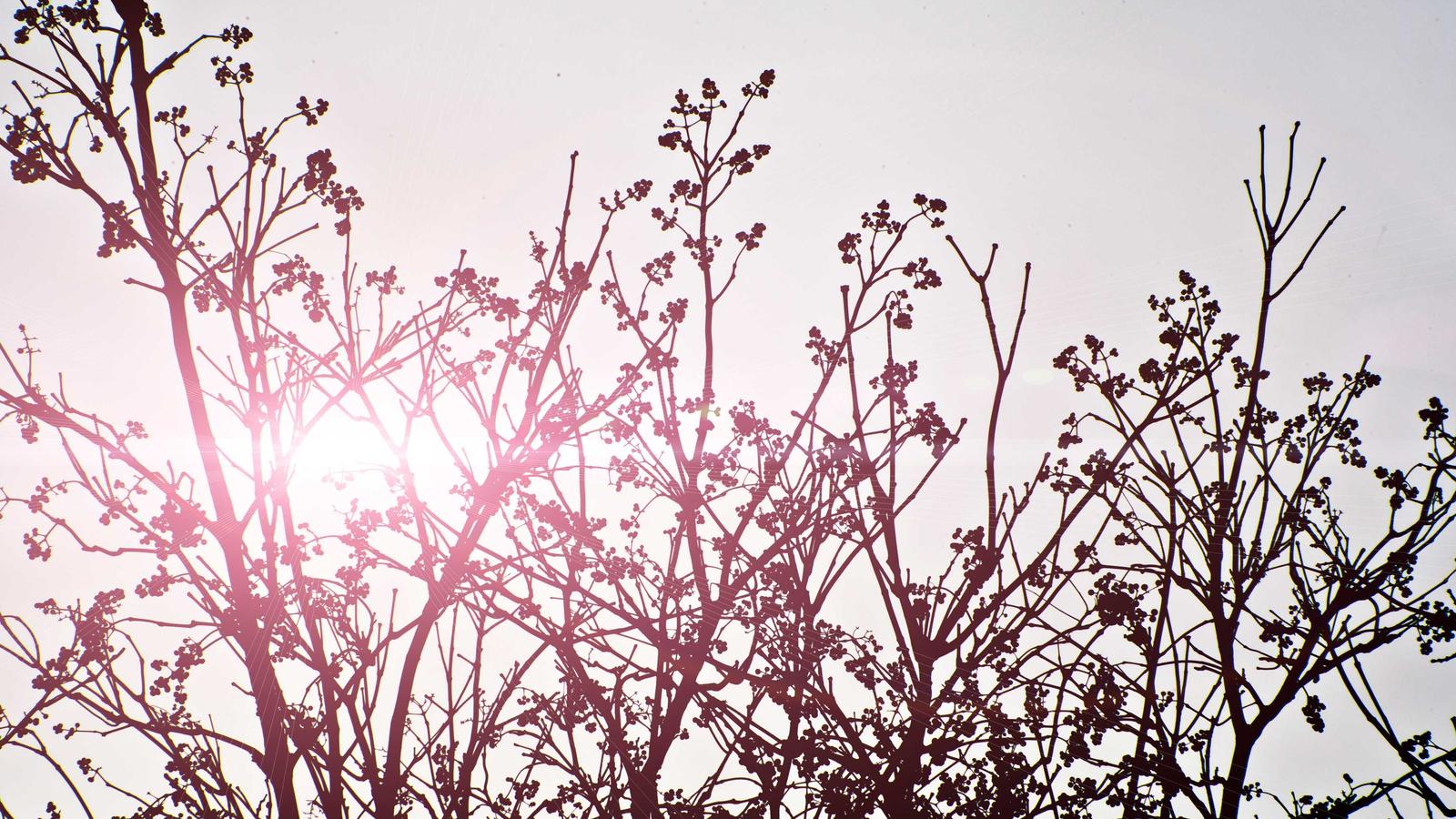 Imagem do artigo sobre relatório de inspeção de saída do imóvel