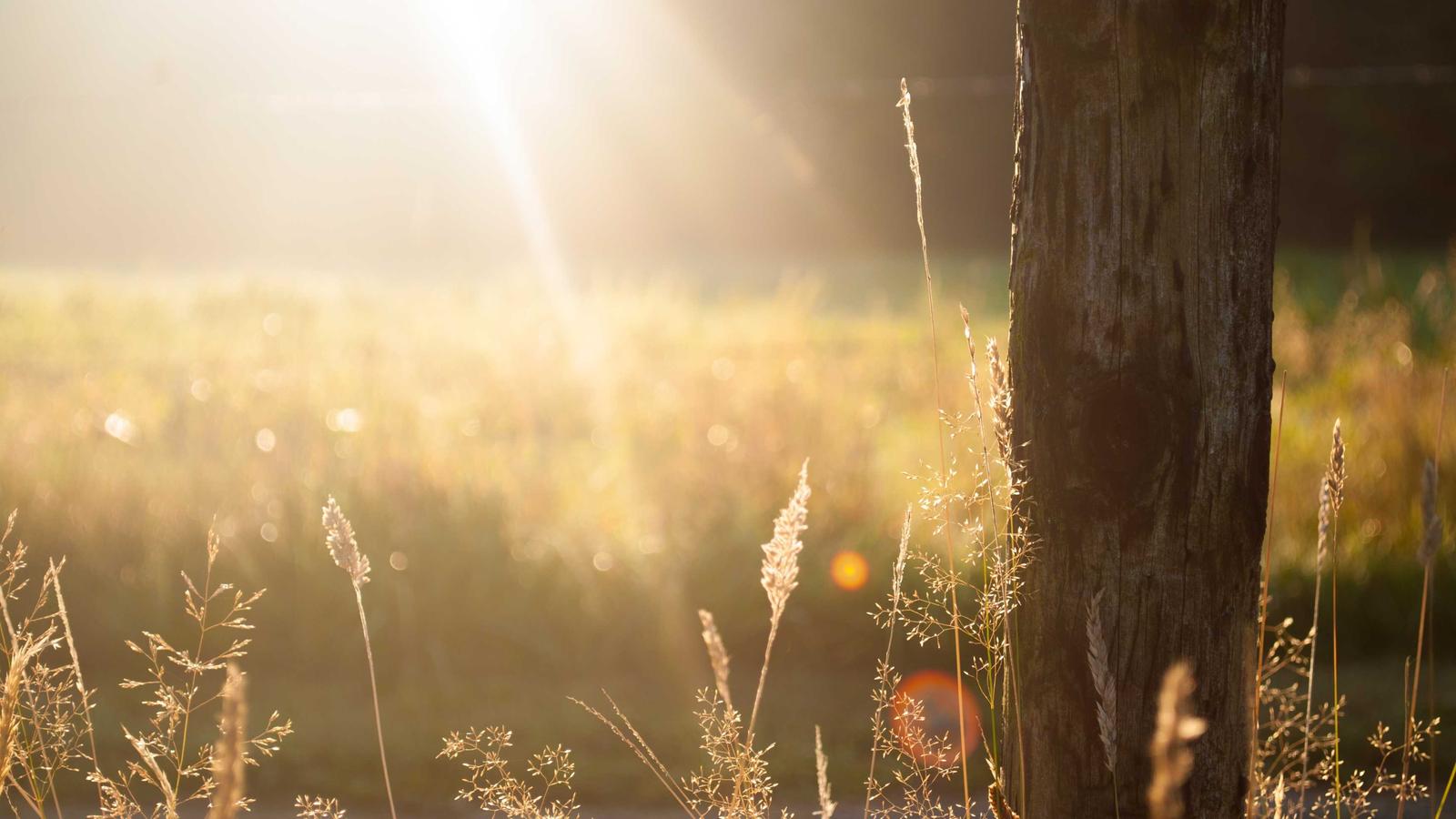 Imagem do artigo sobre software de relatório de vistoria residencial
